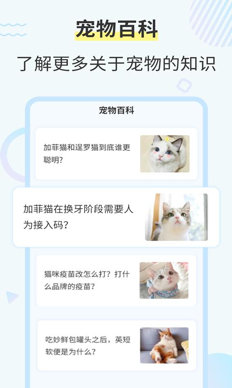 猫咪翻译工具下载_猫咪翻译工具app下载安卓最新版