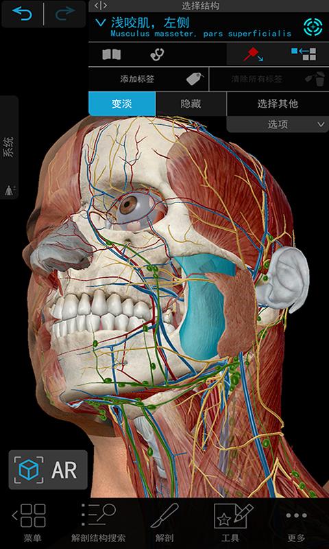 人体解剖3D教学下载_人体解剖3D教学app下载安卓最新版