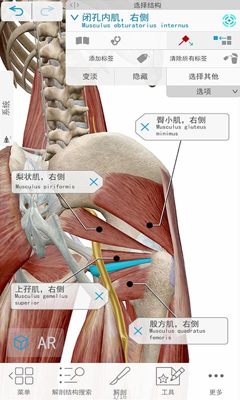 人体解剖3D教学下载_人体解剖3D教学app下载安卓最新版