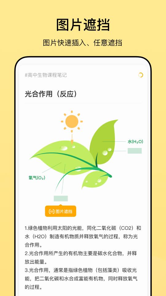 闪记卡下载_闪记卡app下载安卓最新版