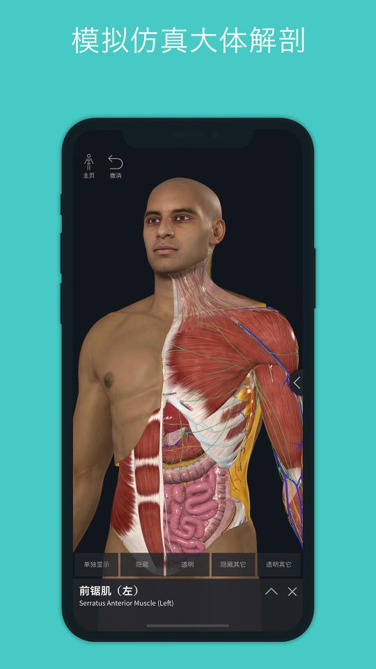 Complete Anatomy 2023下载_Complete Anatomy 2023app下载安卓最新版