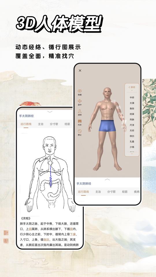 中医经络穴位下载_中医经络穴位app下载安卓最新版