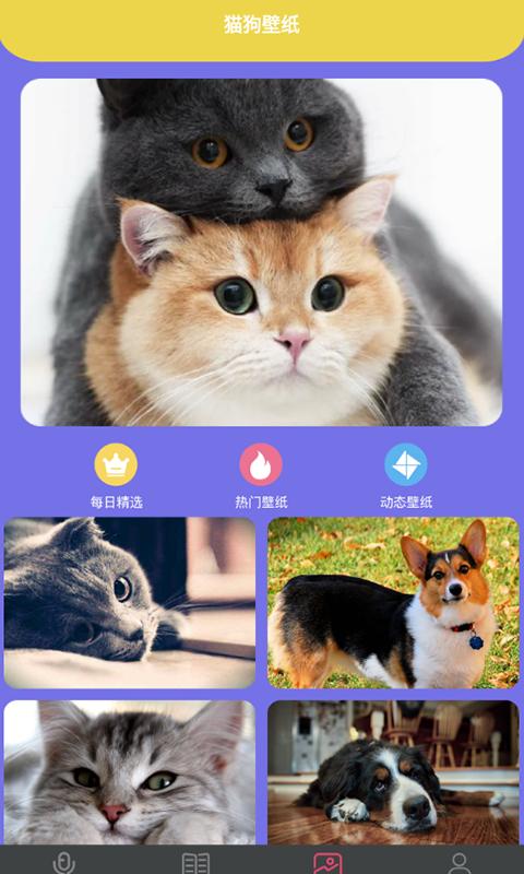拆家特工队下载_拆家特工队app下载安卓最新版