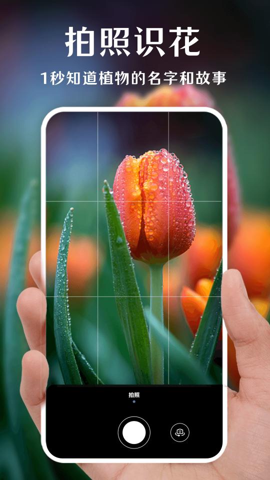 一键拍照识花下载_一键拍照识花app下载安卓最新版