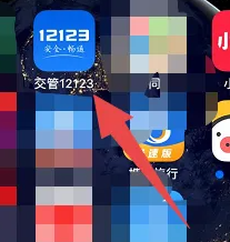 交管12123 App 界面