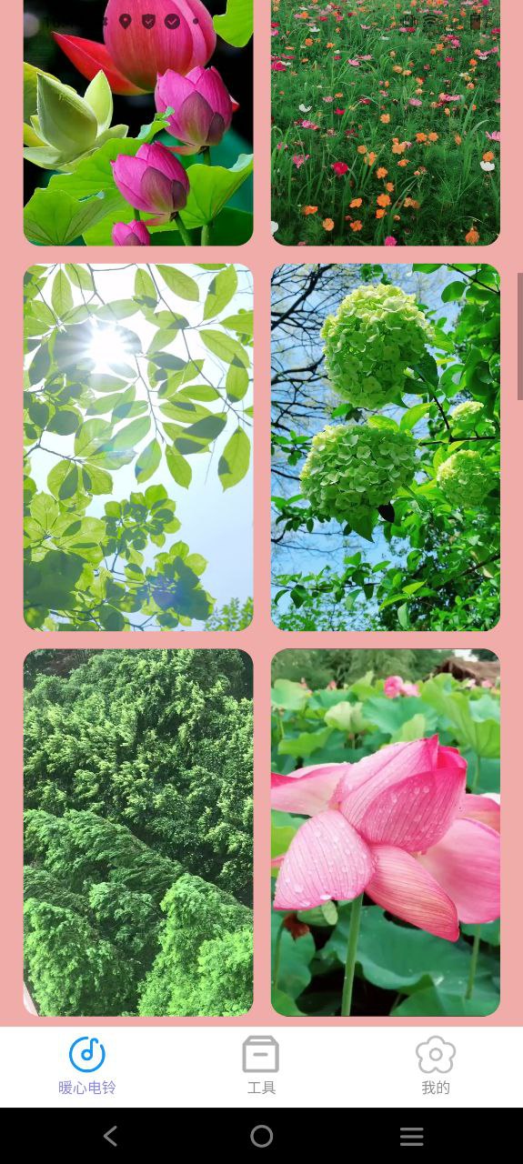 叮当充电软件app