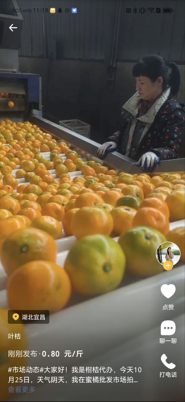 豆牛