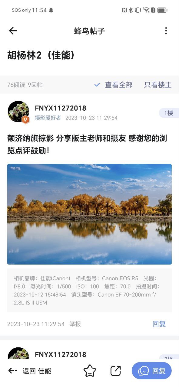 蜂鸟摄影最新
