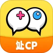 对玩安卓版