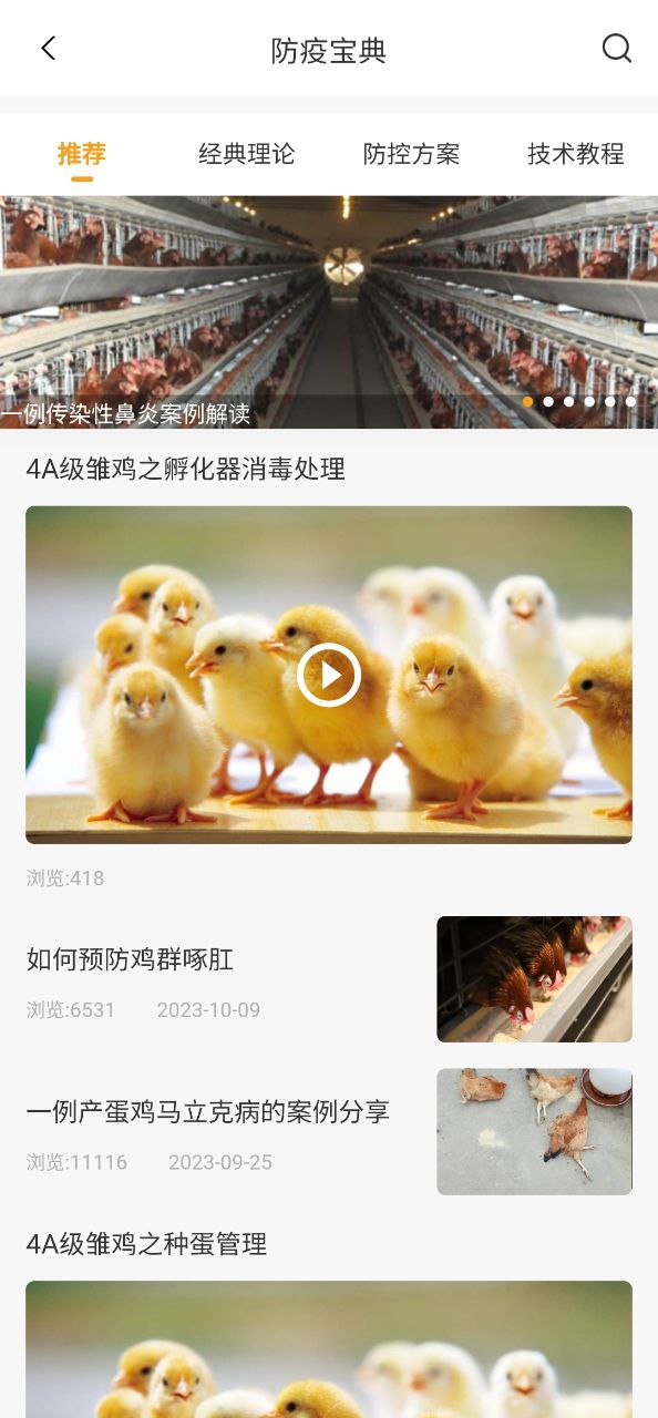 智慧蛋鸡安装