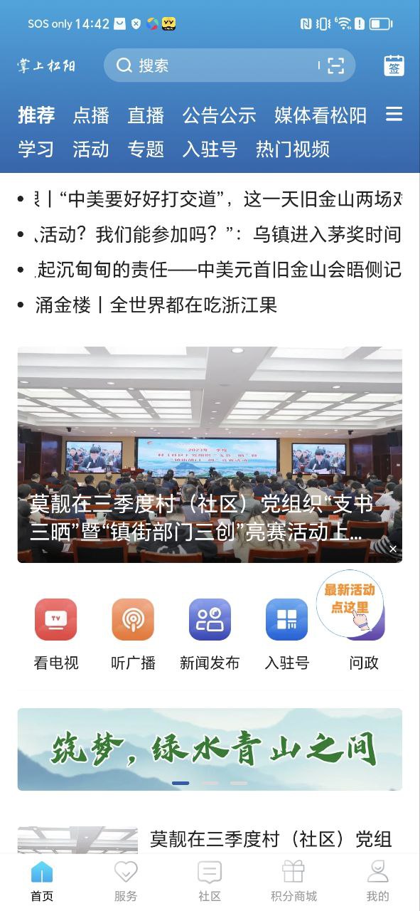 掌上松阳
