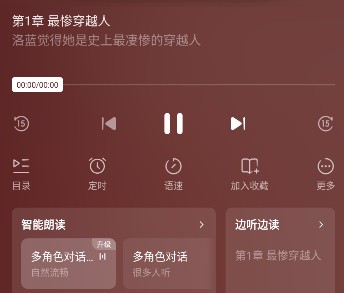 播放页面