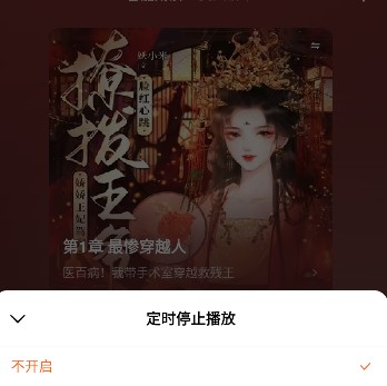 定时关闭功能