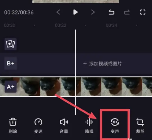 变声选项
