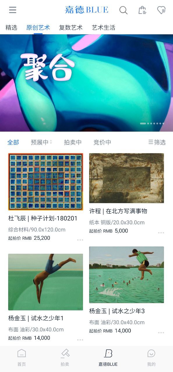 中国嘉德应用