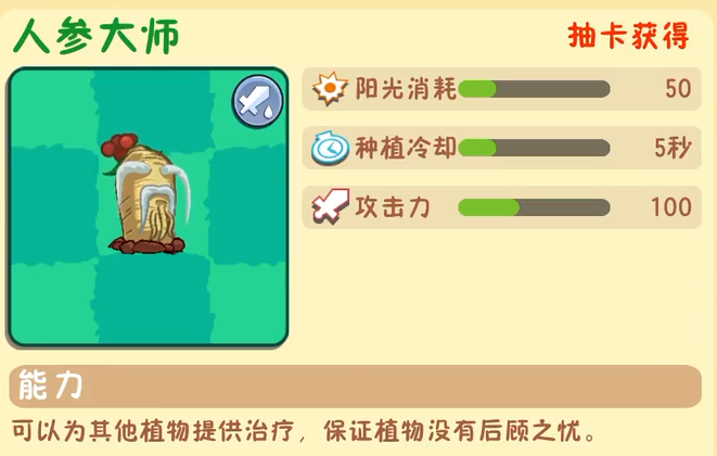 人参植物