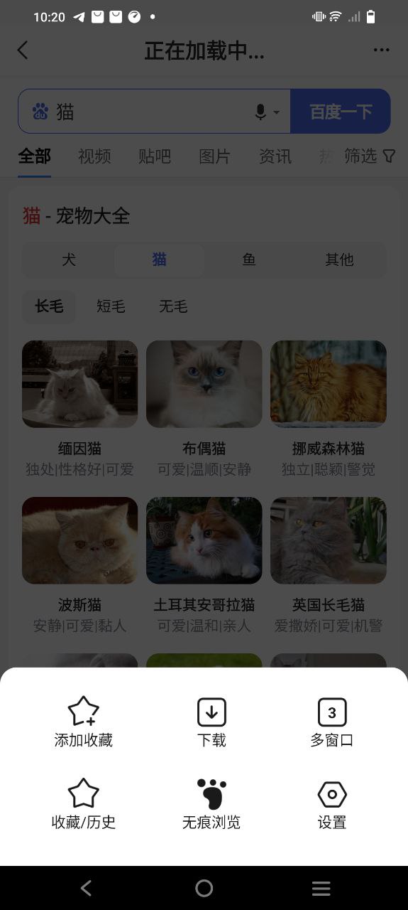 疯看浏览器app