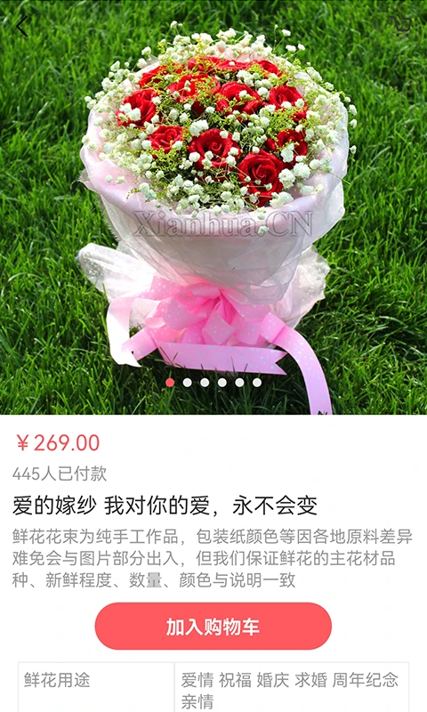 鲜花网下载