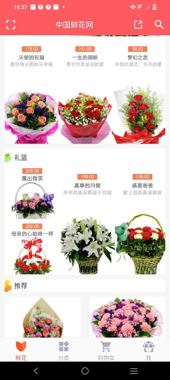 鲜花网下载