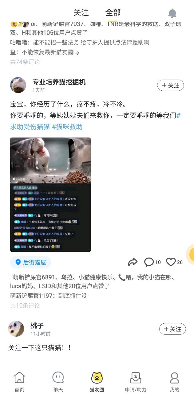 哈啰街猫app