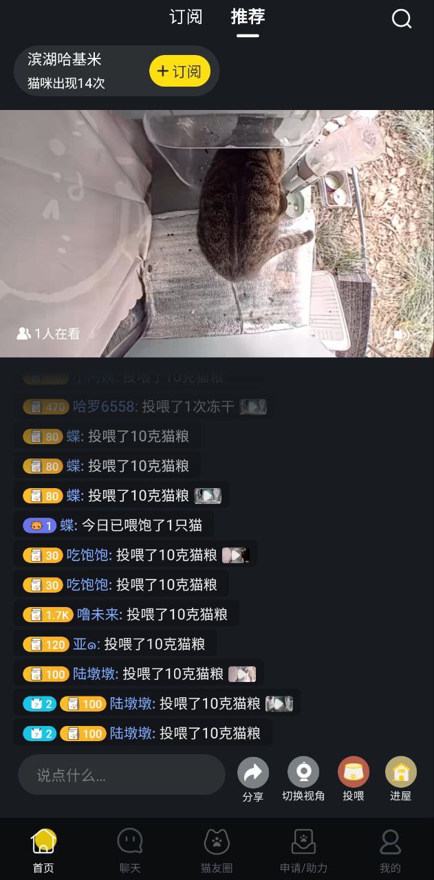 哈啰街猫app