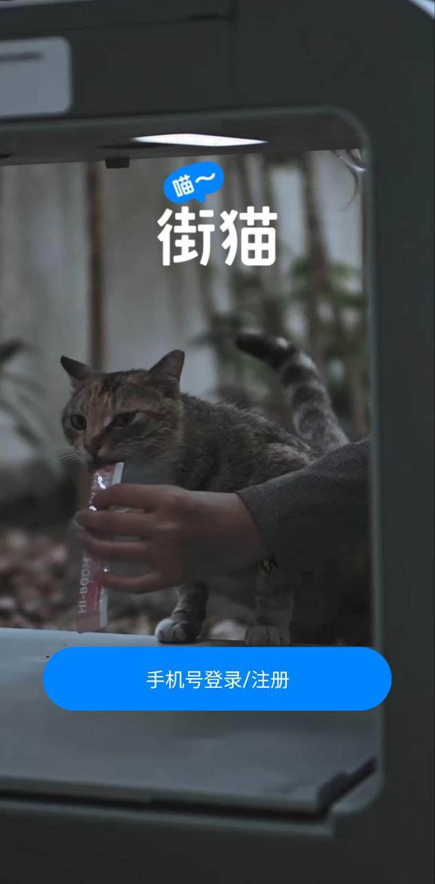 哈啰街猫app