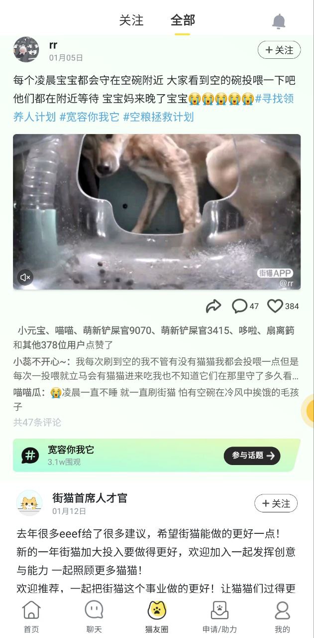 哈啰街猫app