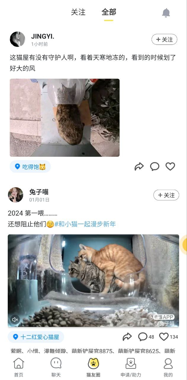 哈啰街猫app