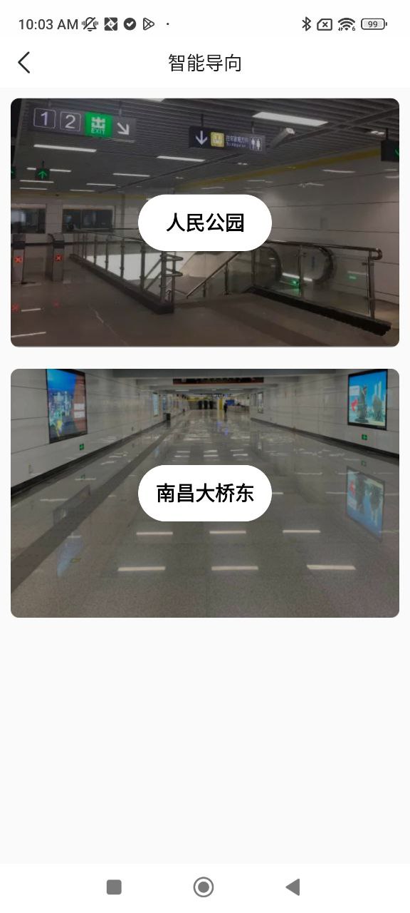 鹭鹭行2025
