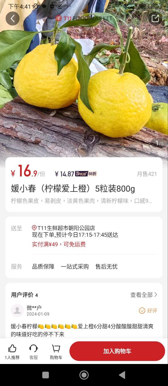 T11最新