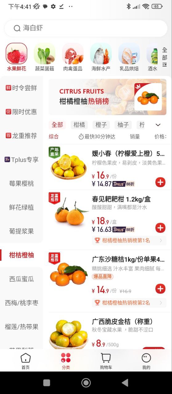 T11最新