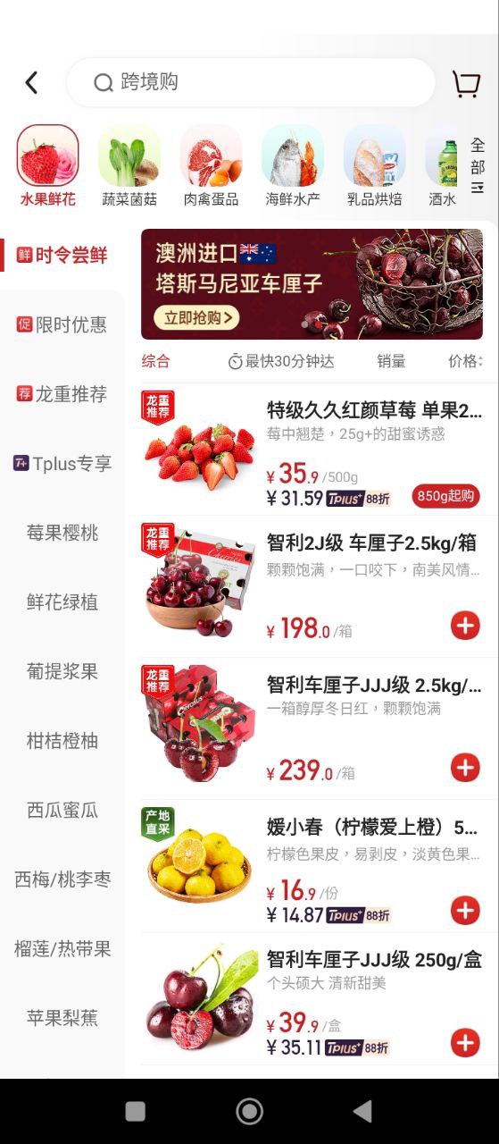 T11最新